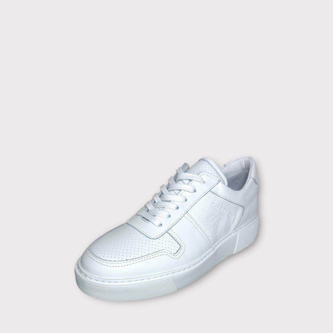 LuxLeaWhite Trainer