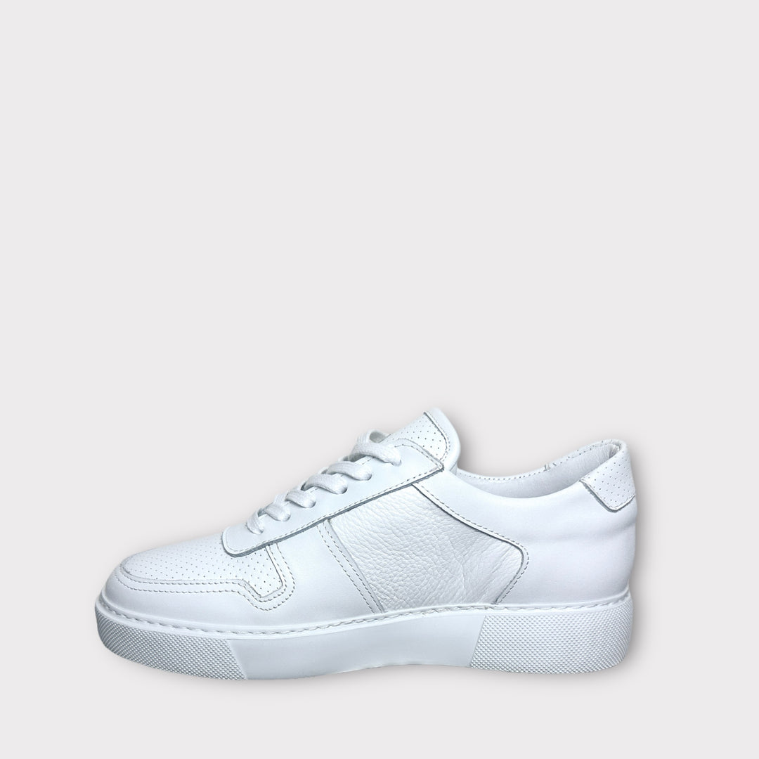 LuxLeaWhite Trainer
